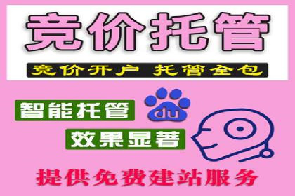 百度竞价托管运营的五大成功案例及策略